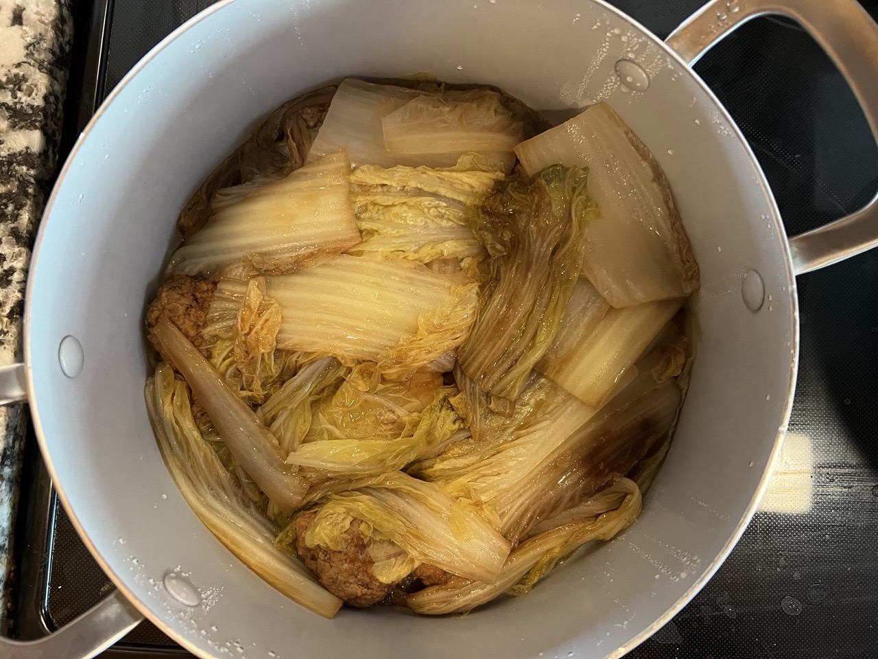 Lion's Head in a Pot